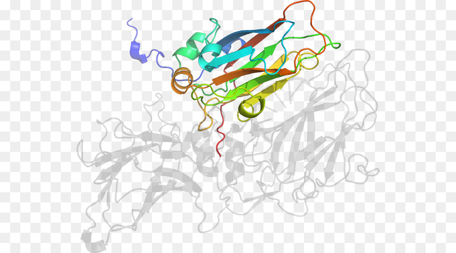 Struktur Protein，Molekul PNG