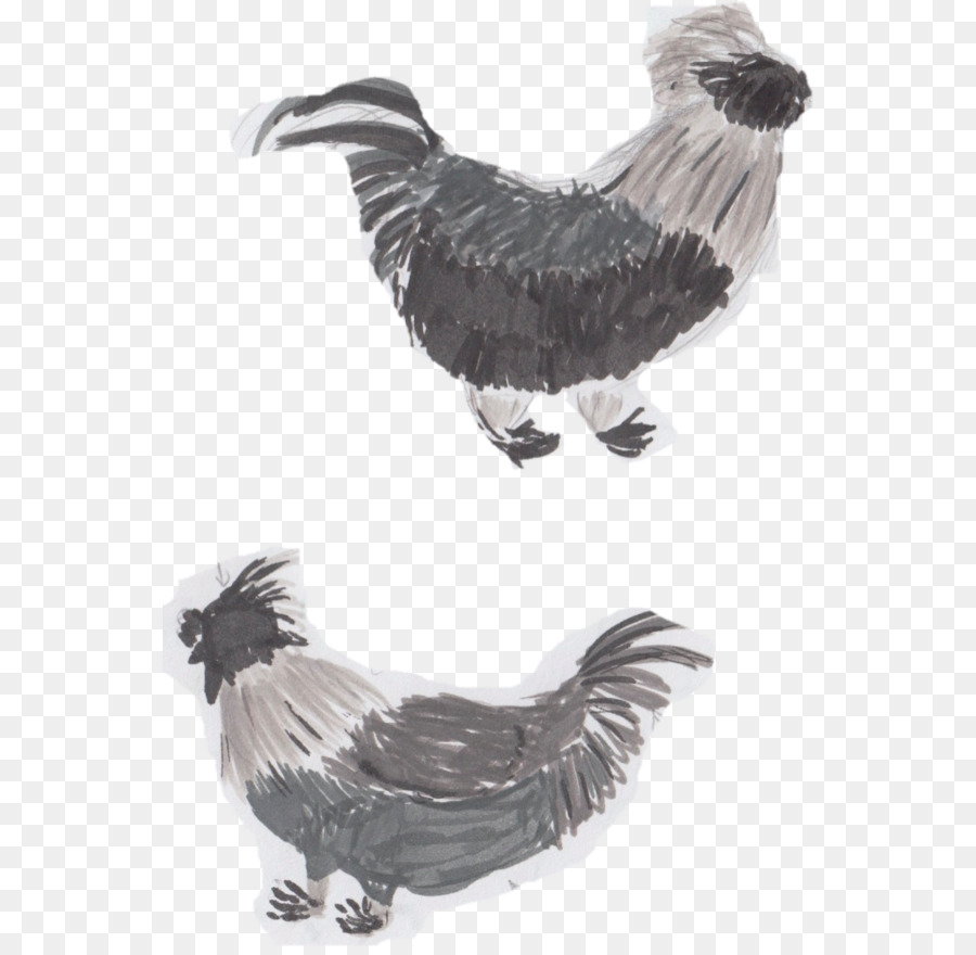 Ayam，Hering PNG