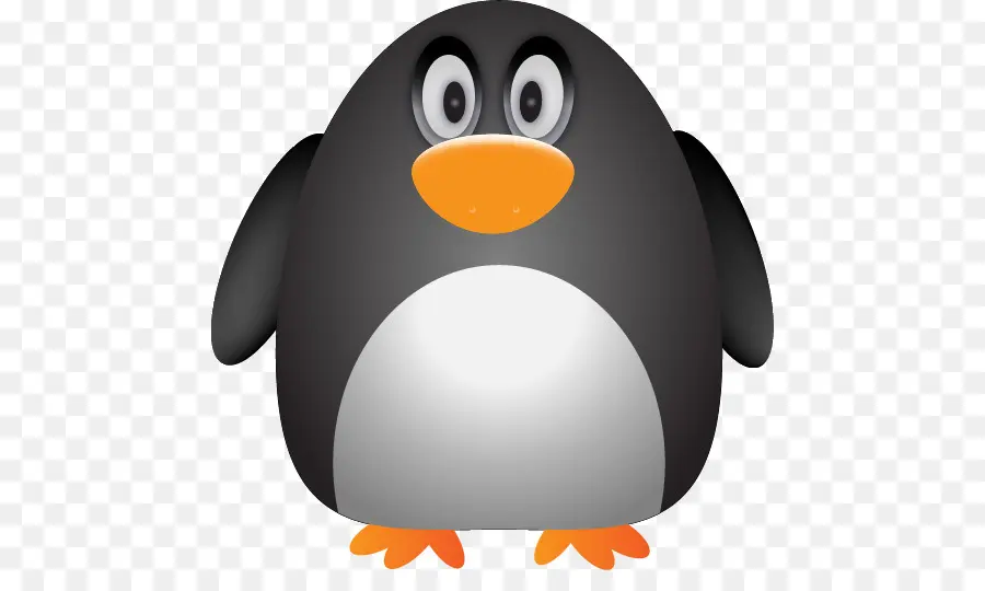 Raja Penguin，Penguin PNG