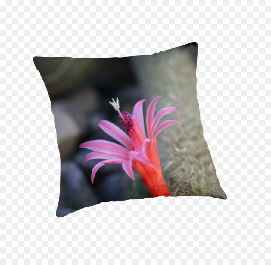 Bantal，Bunga PNG