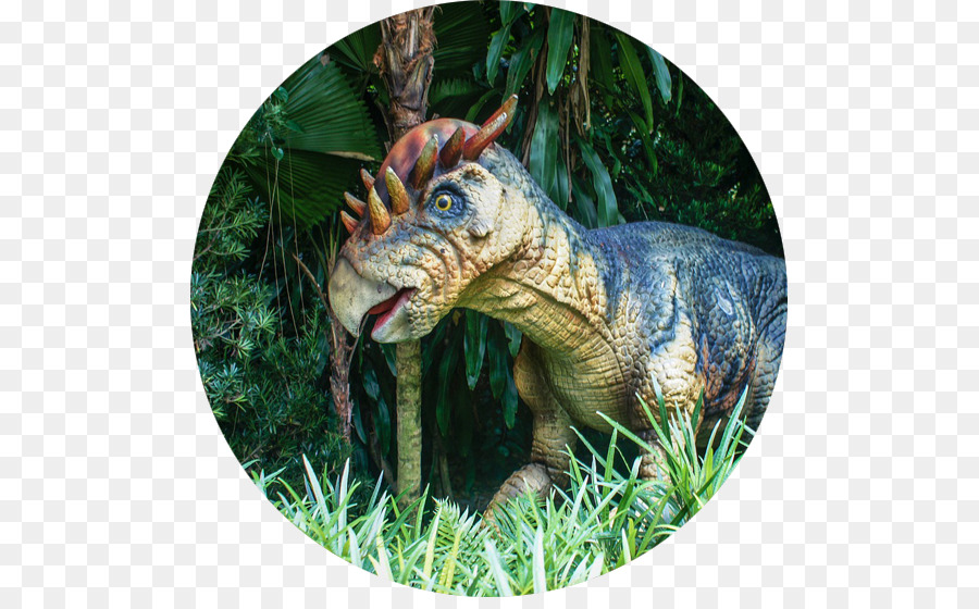 Tyrannosaurus，Dinosaurus PNG