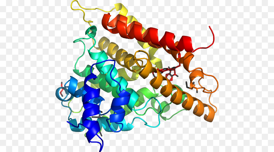 Struktur Protein，Molekul PNG