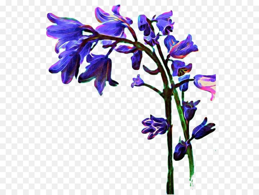 Lavender，Bunga Potong PNG