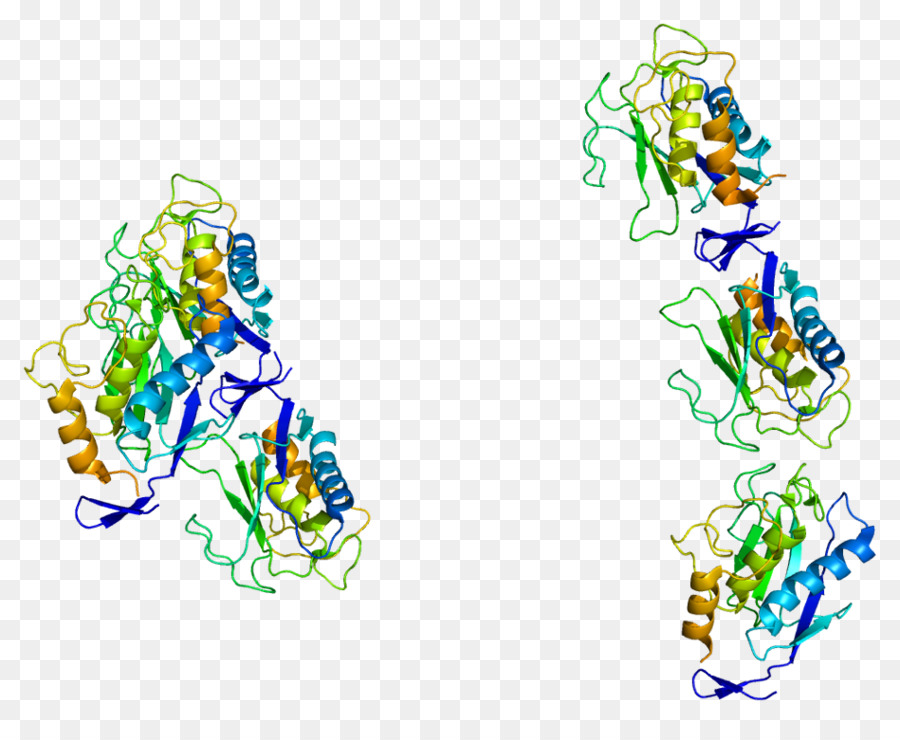 Struktur Protein，Molekul PNG