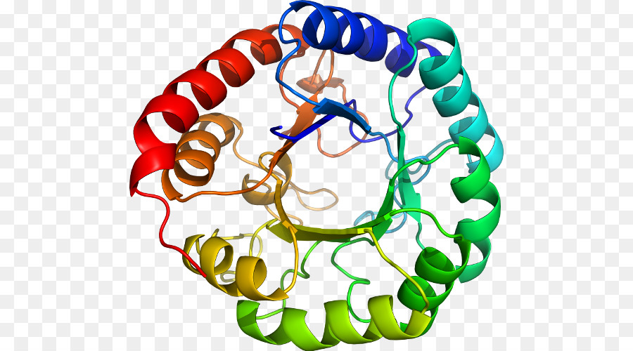 Struktur Protein，Biologi PNG