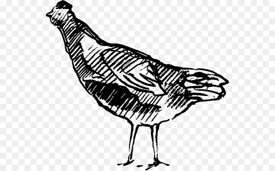 Ayam，Stempel Karet PNG