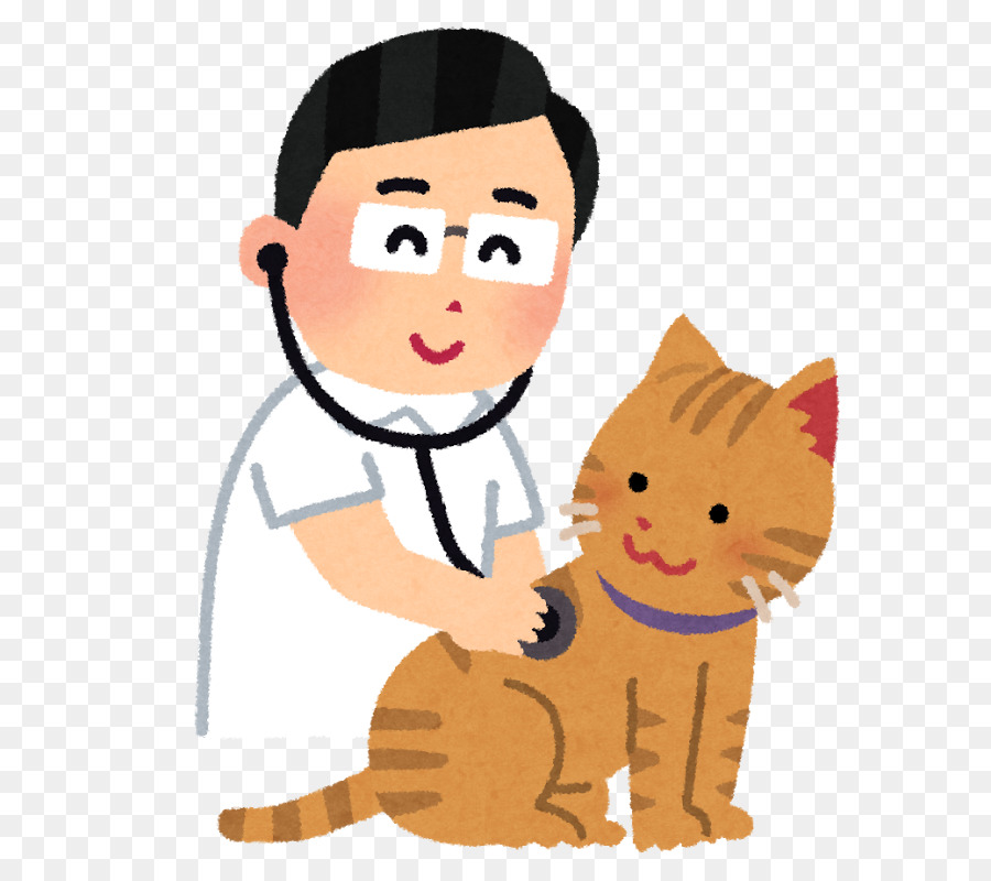 Kucing，Dokter Hewan PNG