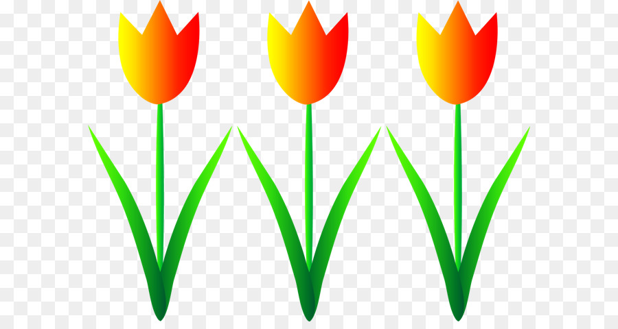 Tulip Kuning，Musim Semi PNG