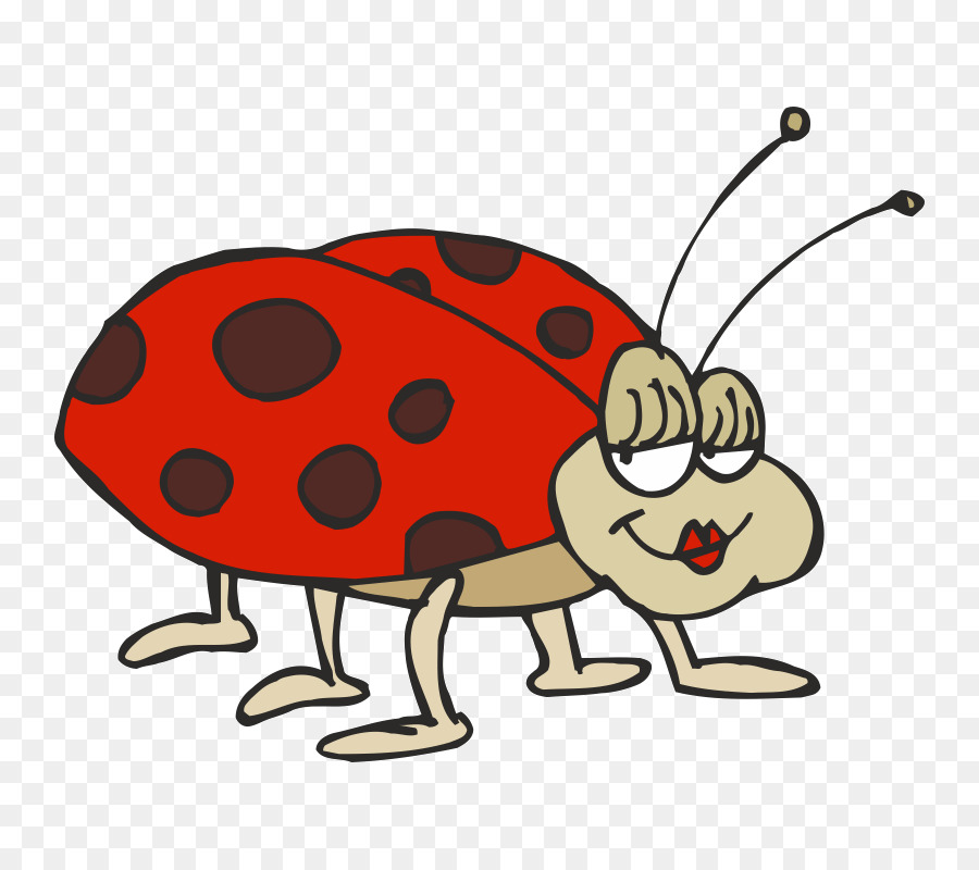 Kumbang，Kumbang Kumbang PNG