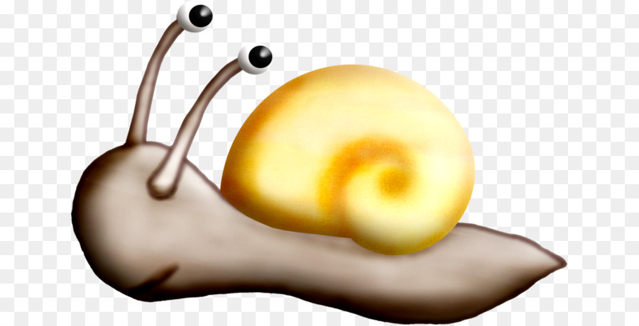 Siput，Gambar PNG