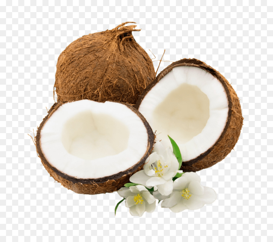 Air Kelapa  Santan  Kelapa  gambar  png