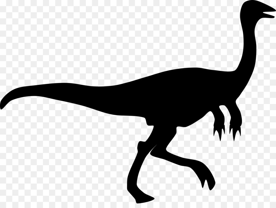Velociraptor，Dinosaurus PNG