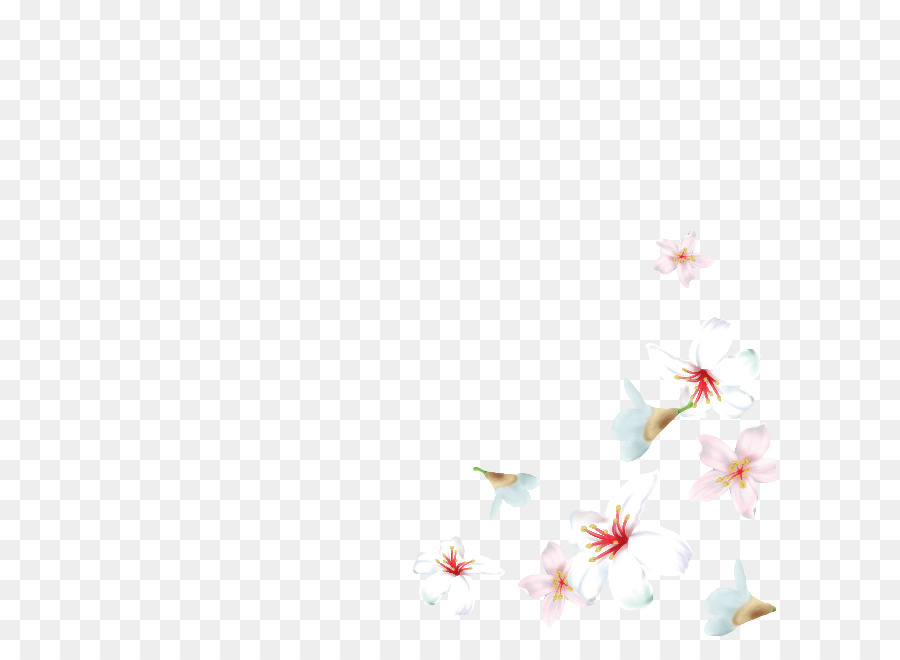 Sakura，Desktop Wallpaper PNG