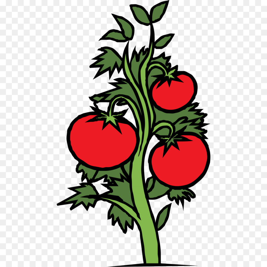 Gagasan Untuk Gambar  Tanaman Tomat Kartun Bunga Hias