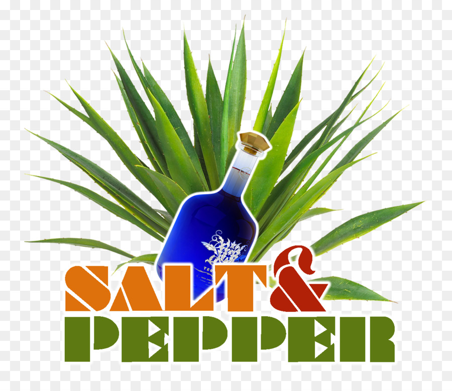 Logo，Rumput PNG