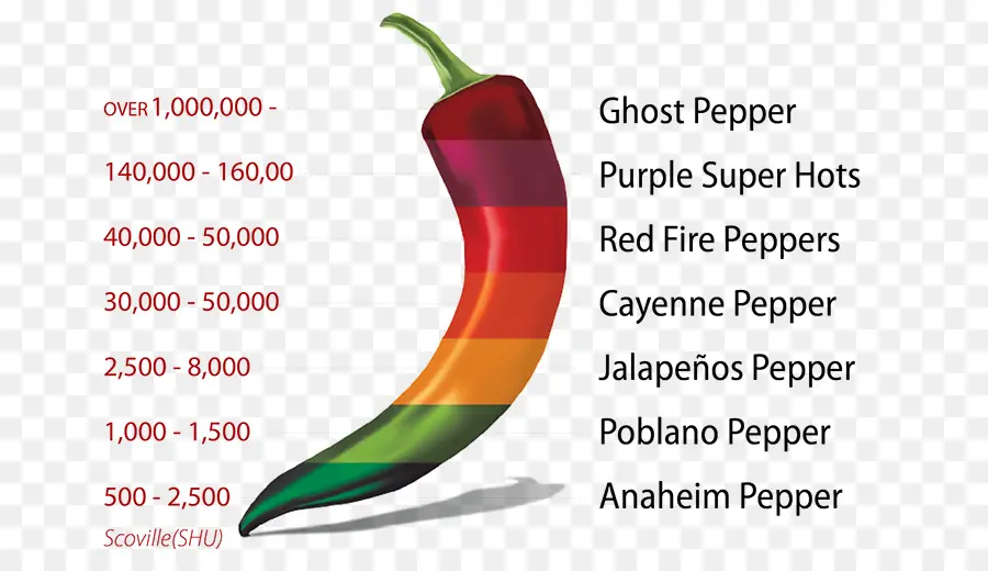 Cabai，Jalapeno PNG