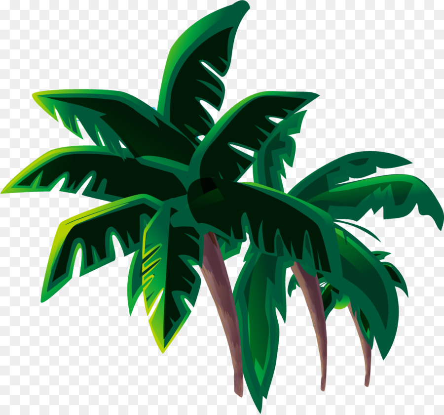 Arecaceae，Pot Bunga PNG