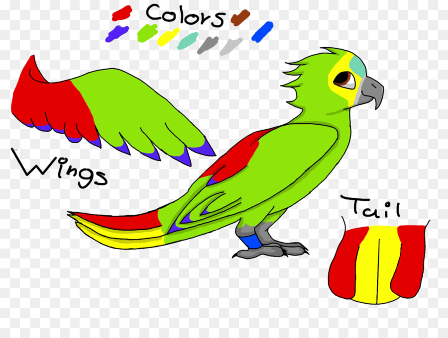 Macaw，Parkit PNG