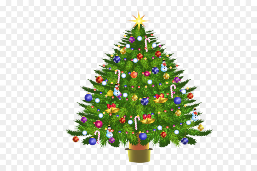 Pohon Natal，Natal PNG