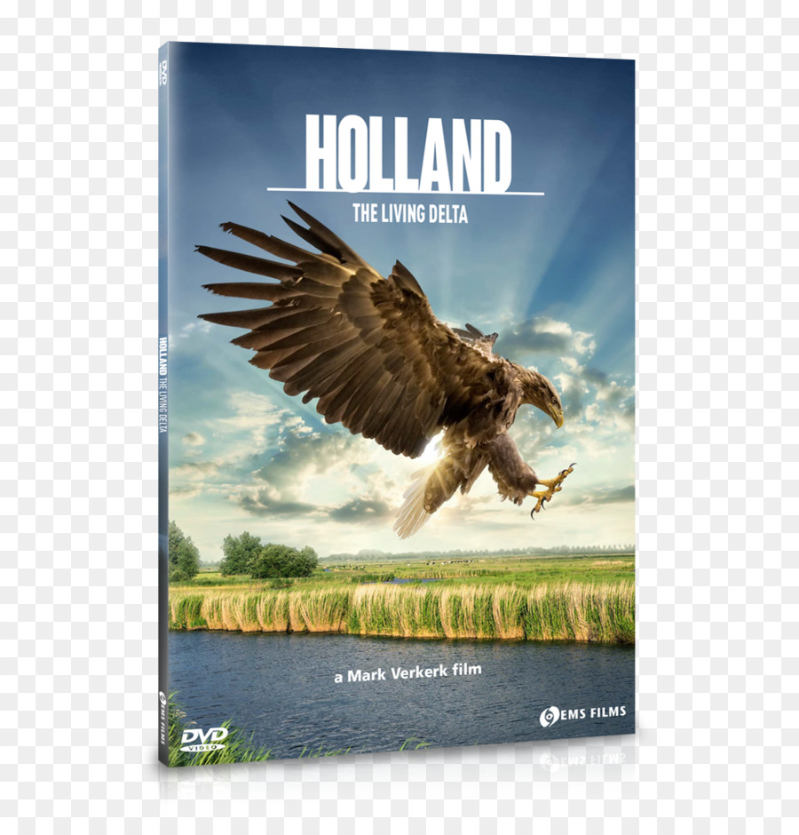 Belanda，Film Dokumenter PNG