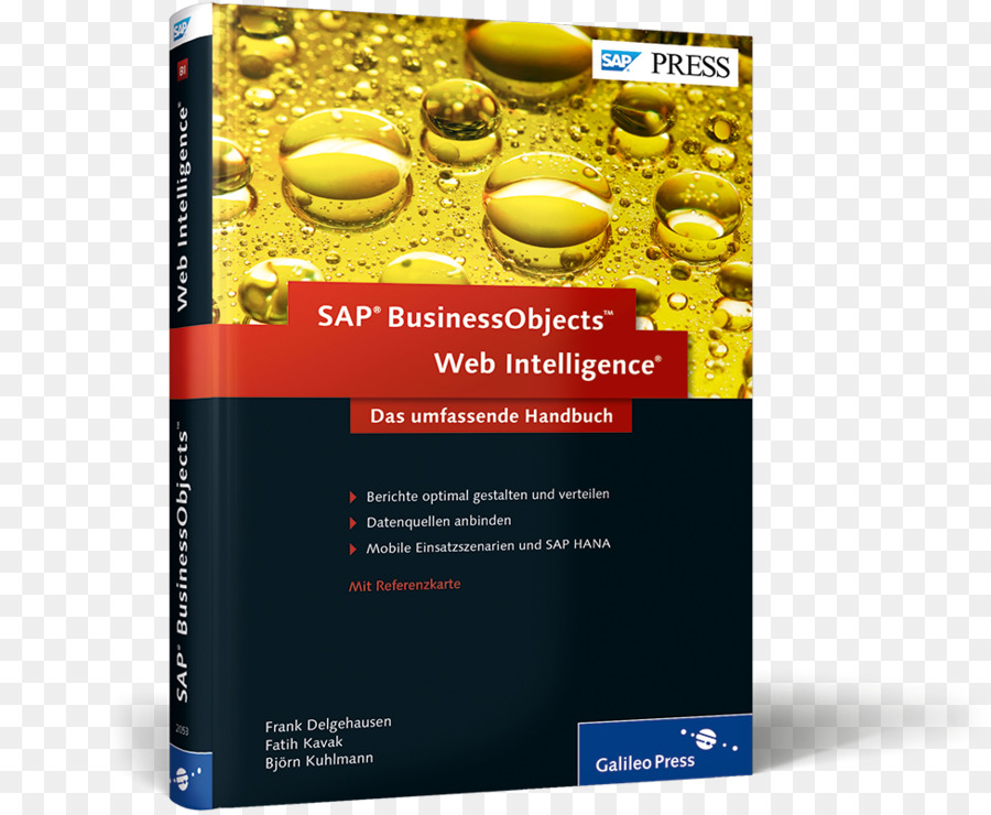 Sap Businessobjects Web Kecerdasan Panduan Komprehensif，Sap Netweaver Bw Dan Sap Businessobjects Komprehensif Manual PNG