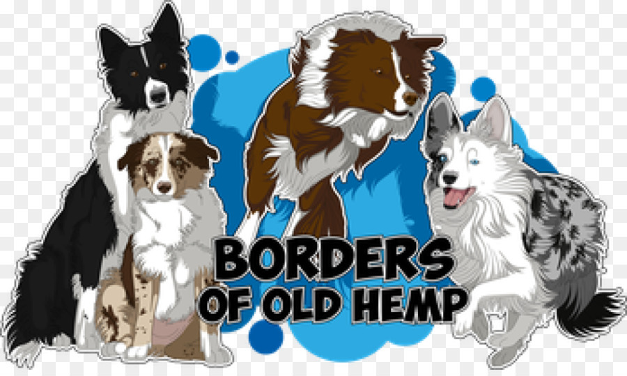 Anjing Berkembang Biak，Border Collie PNG