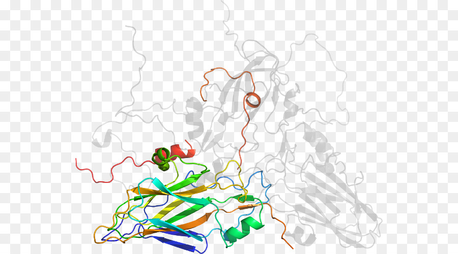 Struktur Protein，Molekul PNG