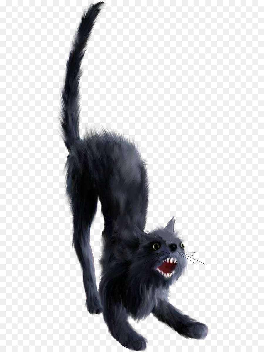 Kucing Hitam，Licik PNG