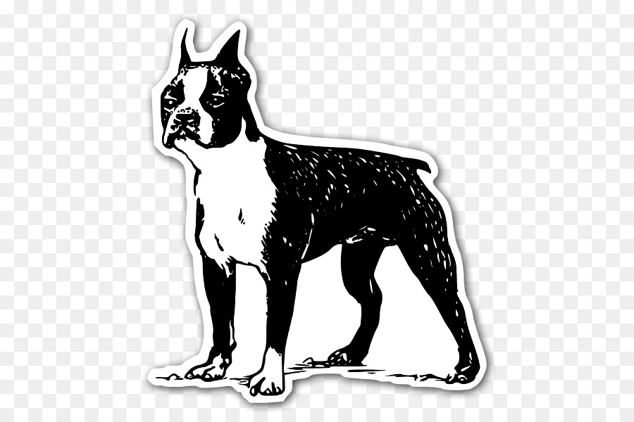 Boston Terrier，Bull Terrier PNG