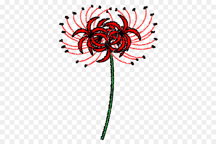 Desain Bunga，Laba Laba Merah Lily PNG