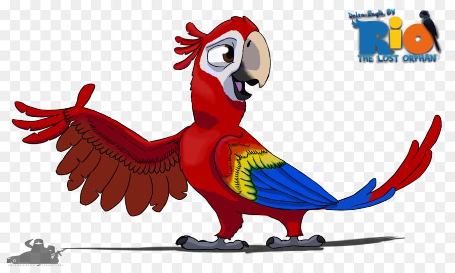 Macaw，Burung PNG