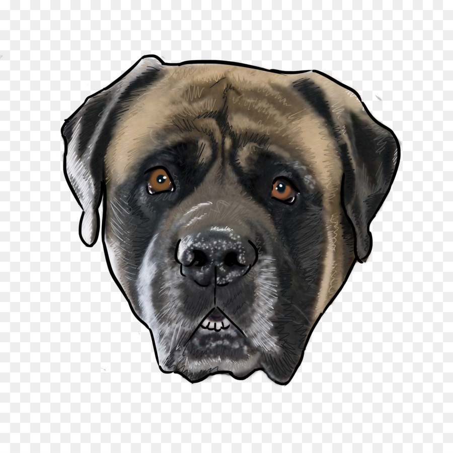 Anjing Berkembang Biak，Mastiff Inggris PNG