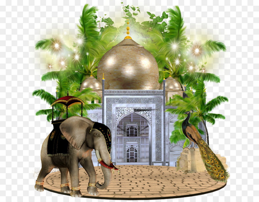 Gajah India，Pot Bunga PNG
