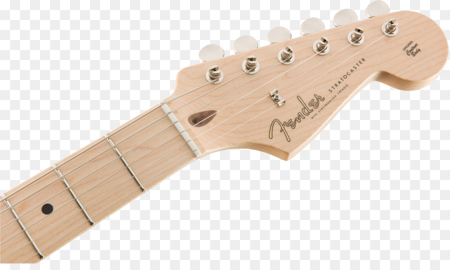 Fender Stratocaster，Leher PNG