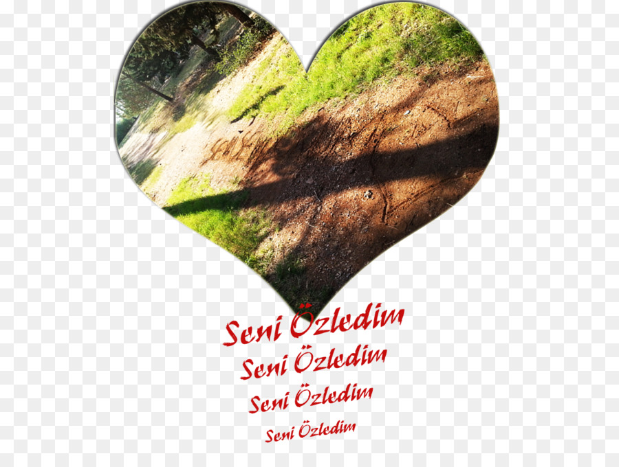 Daun，Cinta PNG