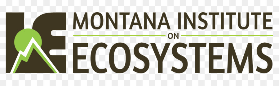 Logo，Montana PNG