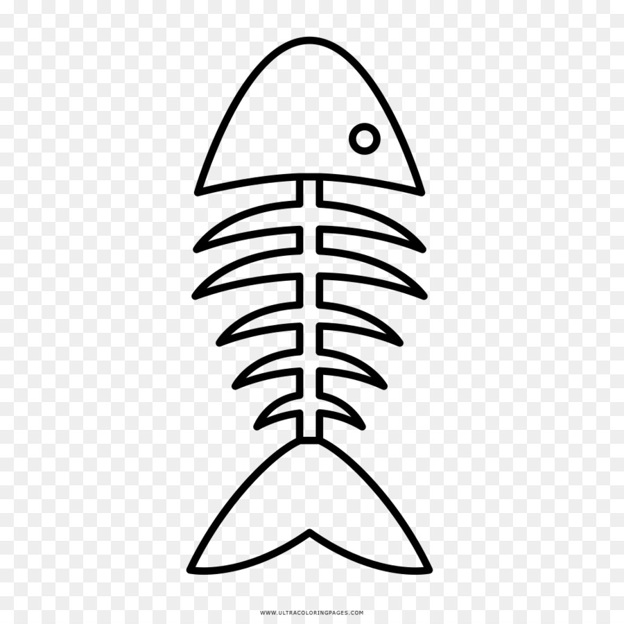  Gambar Tulang Ikan  Ikan  gambar  png