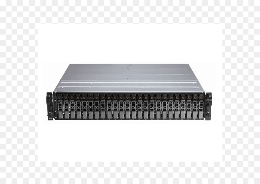Disk Array，Dell PNG