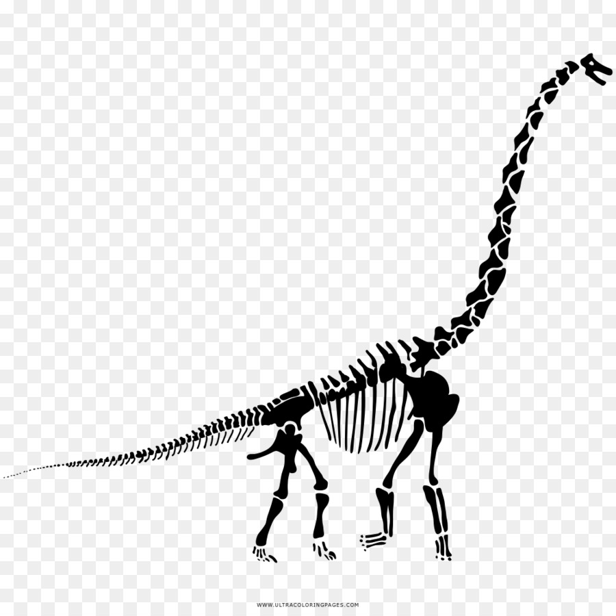 Kerangka Dinosaurus，Fosil PNG