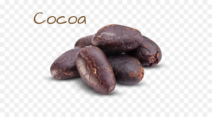 Biji Kakao，Cokelat PNG