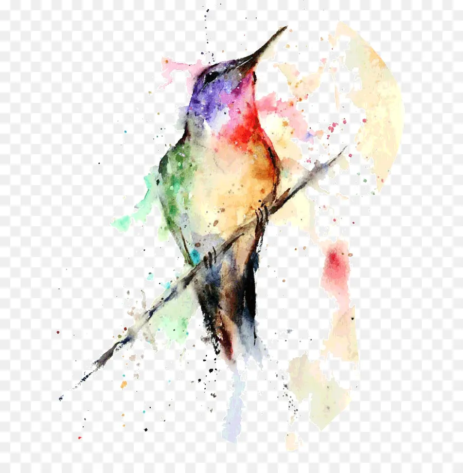 Hummingbird，Lukisan Cat Air PNG