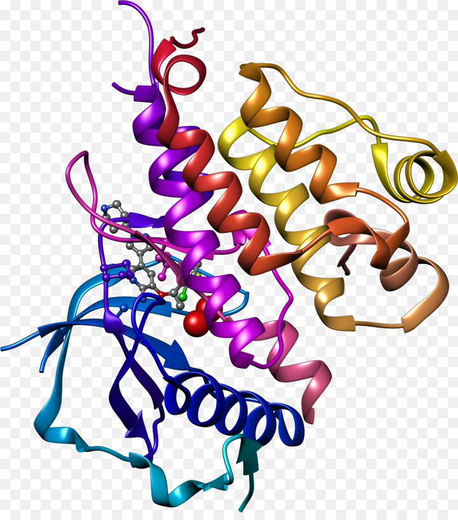 Struktur Dna，Genetika PNG