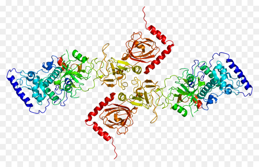 Struktur Protein，Molekul PNG