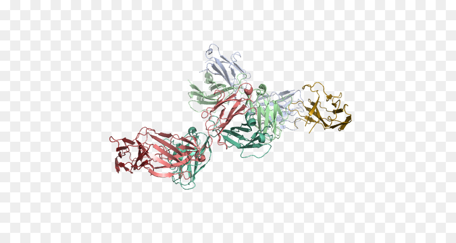 Struktur Protein，Molekul PNG