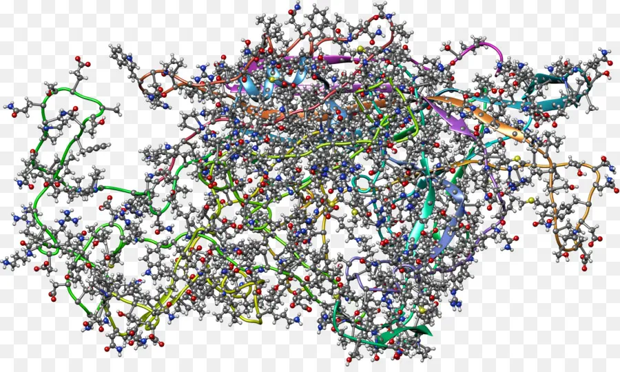 Molekul，Biologi PNG