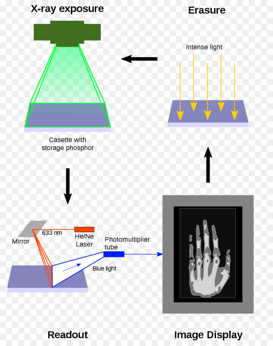 Photostimulated Pendaran，Radiografi PNG