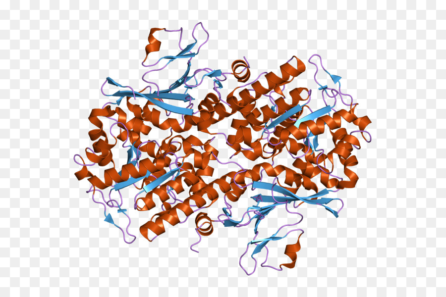 Struktur Protein，Molekul PNG