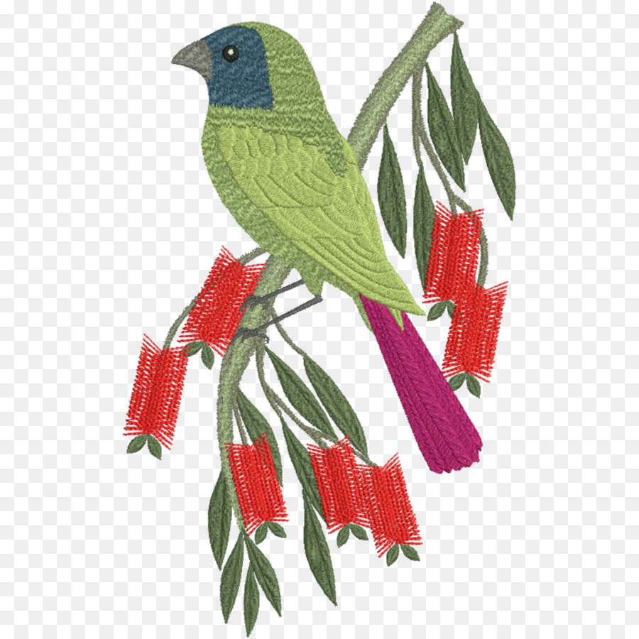 Burung，Macaw PNG