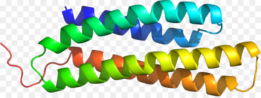 Heliks Protein，Molekul PNG