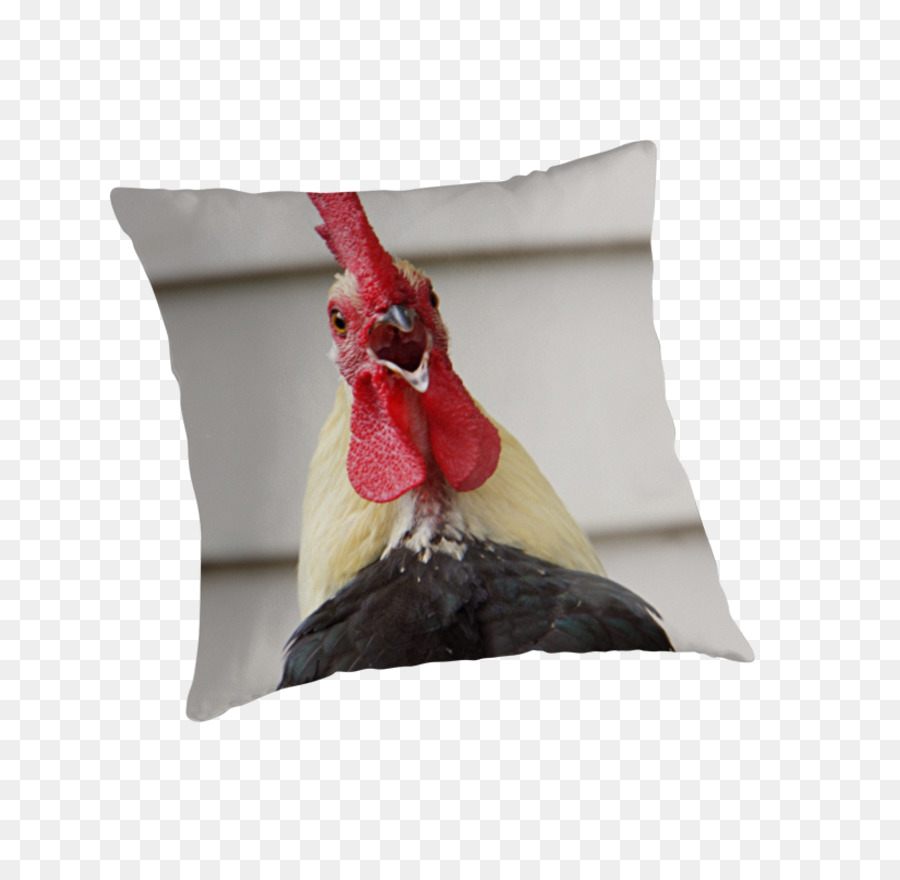 Bantal，Ayam PNG